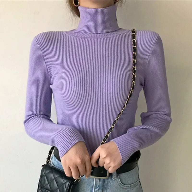 Women Long Sleeved Turtleneck Sweater Harajuku Pullover Women Knit Sweater Slim Elastic Korean Simple Basic Jumper Solid Tops - Dhavinci