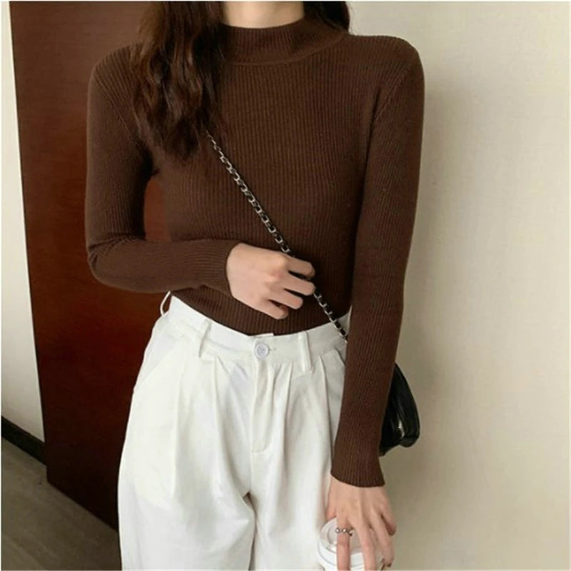 Women Long Sleeved Turtleneck Sweater Harajuku Pullover Women Knit Sweater Slim Elastic Korean Simple Basic Jumper Solid Tops - Dhavinci