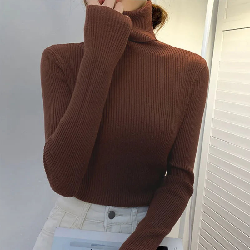 Women Long Sleeved Turtleneck Sweater Harajuku Pullover Women Knit Sweater Slim Elastic Korean Simple Basic Jumper Solid Tops - Dhavinci